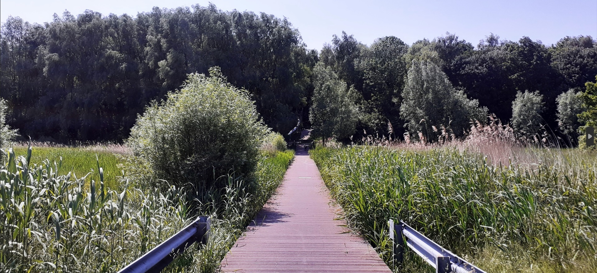 Roege Bos Ingang Kwartsstraat