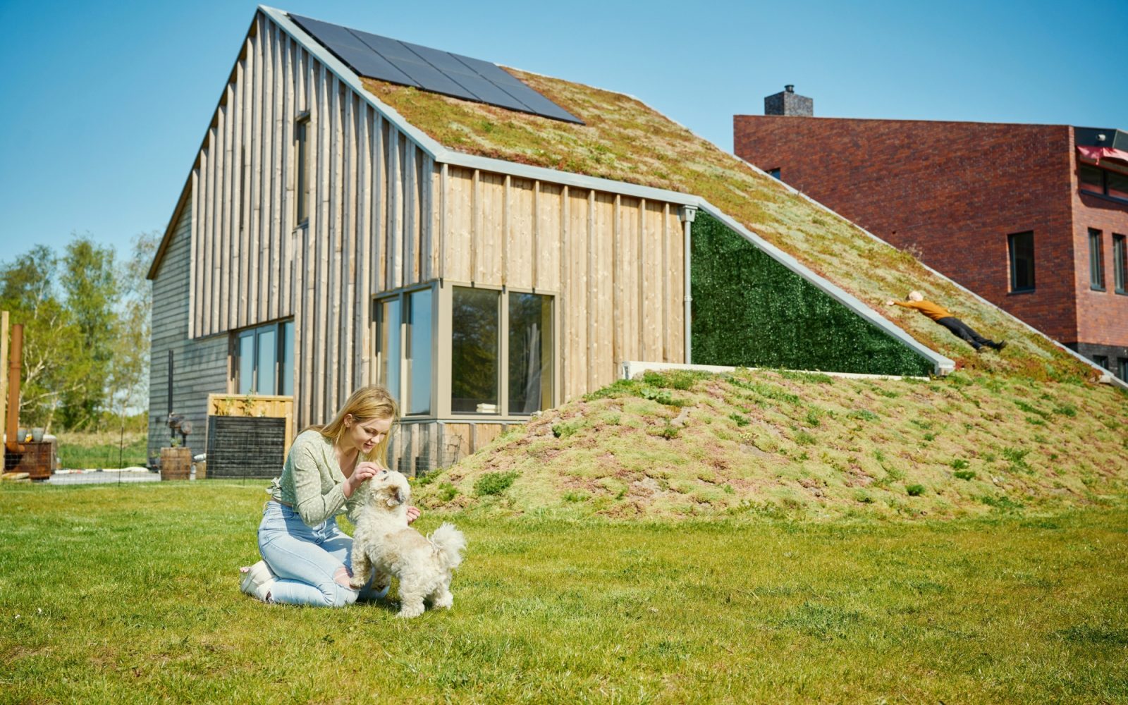  1600x1000 crop center center noneduurzaam groningen zonnepanelen groen dak